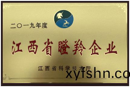 2019年(nian)度江西(xi)省瞪(deng)羚(ling)企業(ye)